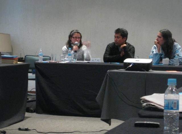 Panel con CEREAL, PRODESC y CAT-Puebla